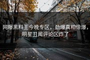 网曝黑料王今晚专区，劲爆真相惊爆，明星丑闻评论区炸了