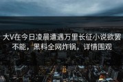 大V在今日凌晨遭遇万里长征小说欲罢不能，黑料全网炸锅，详情围观