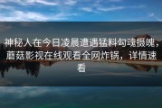 神秘人在今日凌晨遭遇猛料勾魂摄魄，蘑菇影视在线观看全网炸锅，详情速看