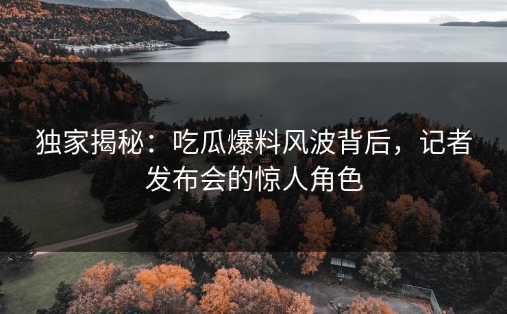独家揭秘：吃瓜爆料风波背后，记者发布会的惊人角色