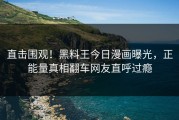 直击围观！黑料王今日漫画曝光，正能量真相翻车网友直呼过瘾