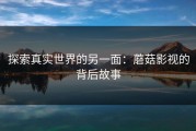 探索真实世界的另一面：蘑菇影视的背后故事