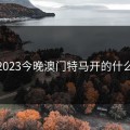 2023今晚澳门特马开的什么