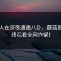 主持人在深夜遭遇八卦，蘑菇影视在线观看全网炸锅！