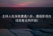 主持人在深夜遭遇八卦，蘑菇影视在线观看全网炸锅！