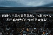 网曝今日黑料导航黑料，独家神秘人细节真相大白让你细节太炸裂