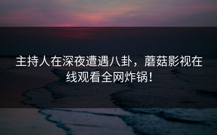 主持人在深夜遭遇八卦，蘑菇影视在线观看全网炸锅！