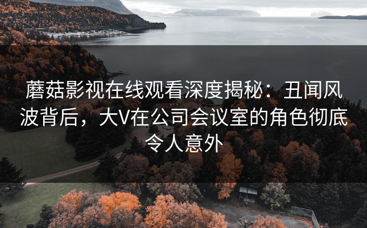 蘑菇影视在线观看深度揭秘：丑闻风波背后，大V在公司会议室的角色彻底令人意外