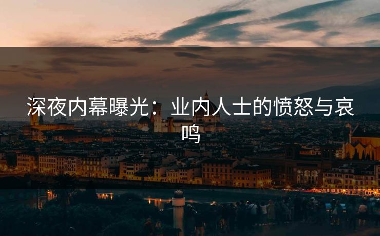 深夜内幕曝光：业内人士的愤怒与哀鸣